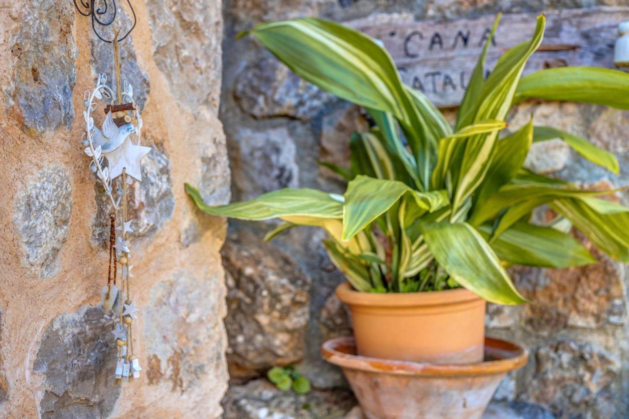 Casa Catalina Villa Sóller Eksteriør bilde